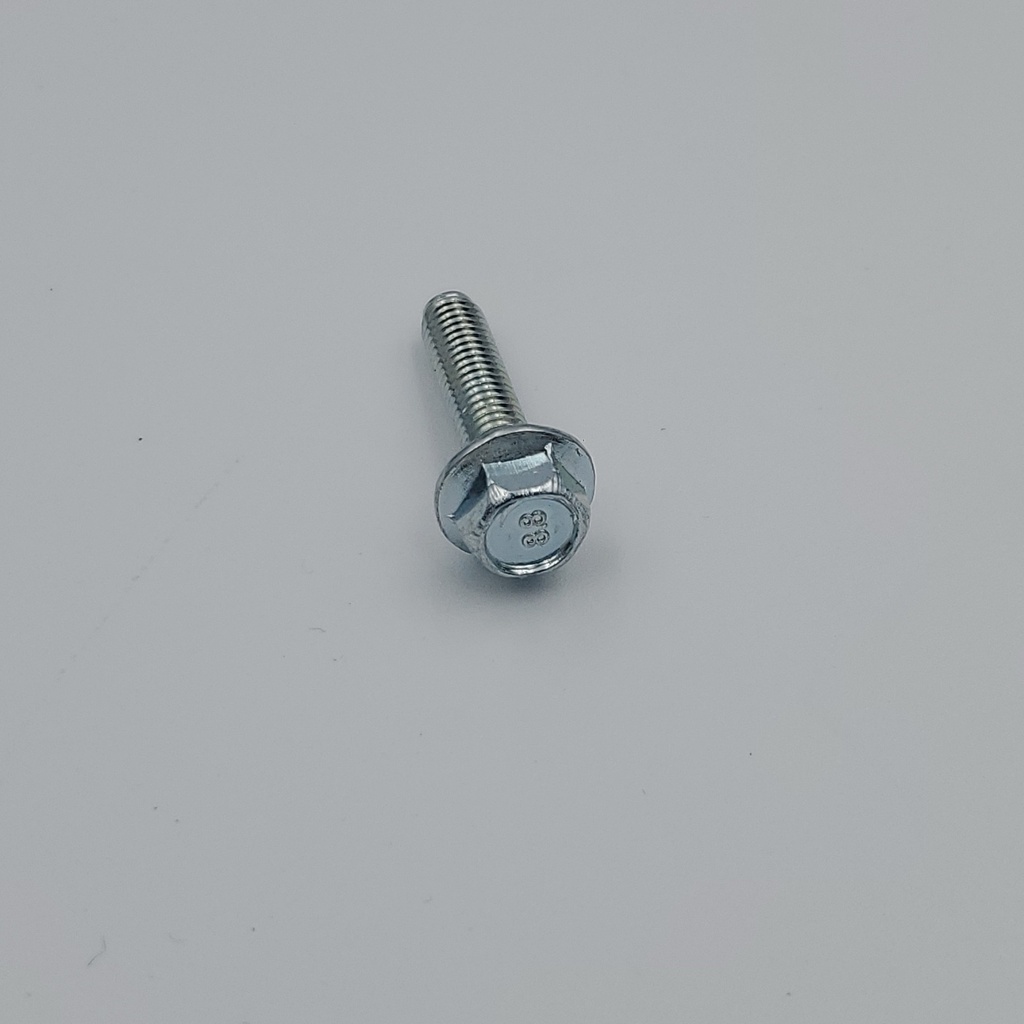 SCREW WITH WASHER TE M5X20