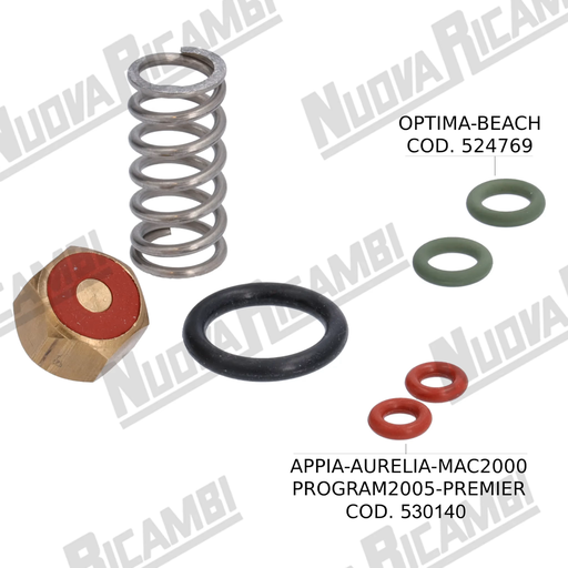 [LX705359] Kit d'entretien de valve vapeur Simonelli (1un)