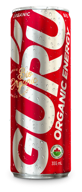 Guru Régulier 355ml