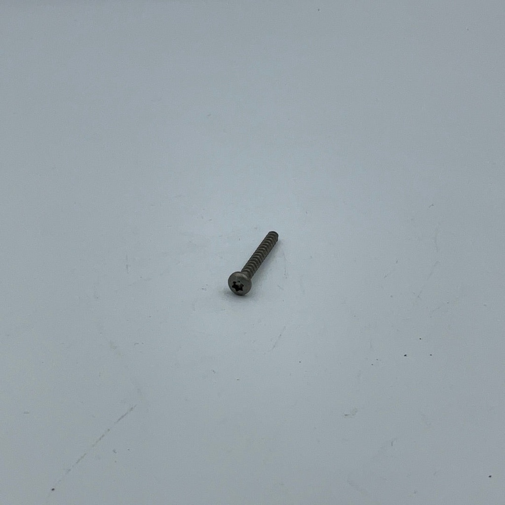 Vis TCB Torx 10 3X25 SS pour plastique