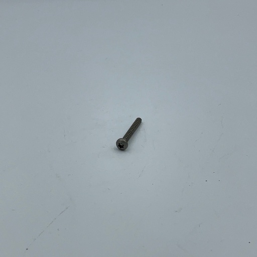 [996530007838] Vis TCB Torx 10 3X25 SS pour plastique
