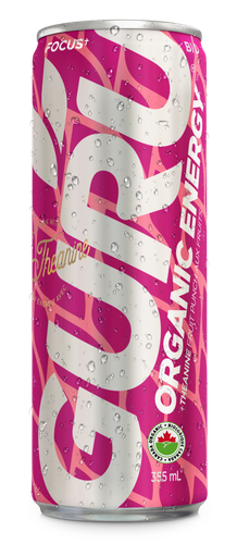 [4987] Guru Theanine Punch aux fruits 355 Ml