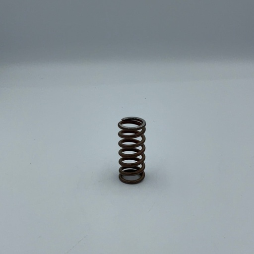 [R299905958] Ressort du bas groupe E61 (C219900431)